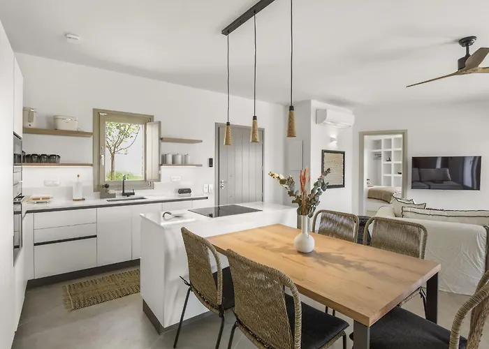 Vega House Antiparos Βίλα *